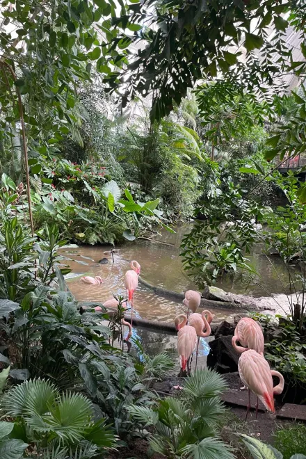 3168da7a 97ff 4298 bb14 38a2f70c618e v2