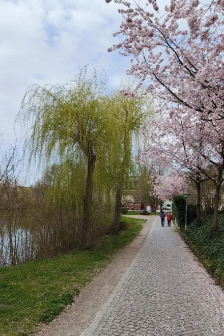 bdff2a8e b49e 4981 ae73 525c52be40e4 v2