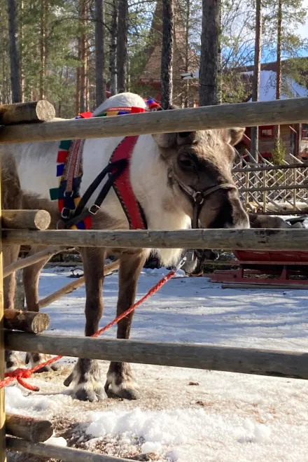 0765fb7e 04eb 4676 97c9 87b3bb3cab3e