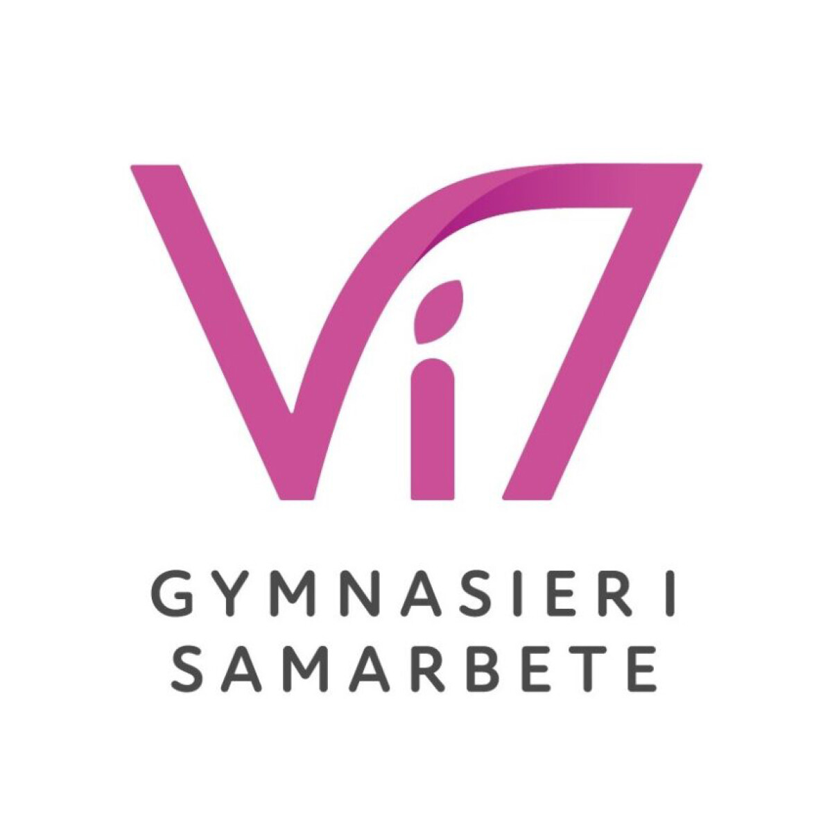 Vi7 logo v4